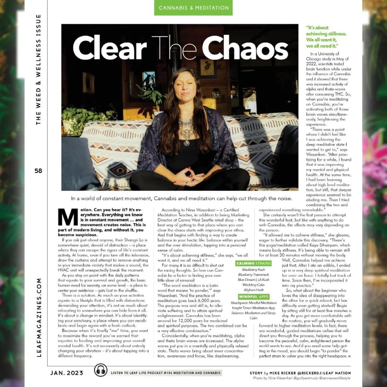 Northwest Leaf Clear the Chaos Nina Wasankari